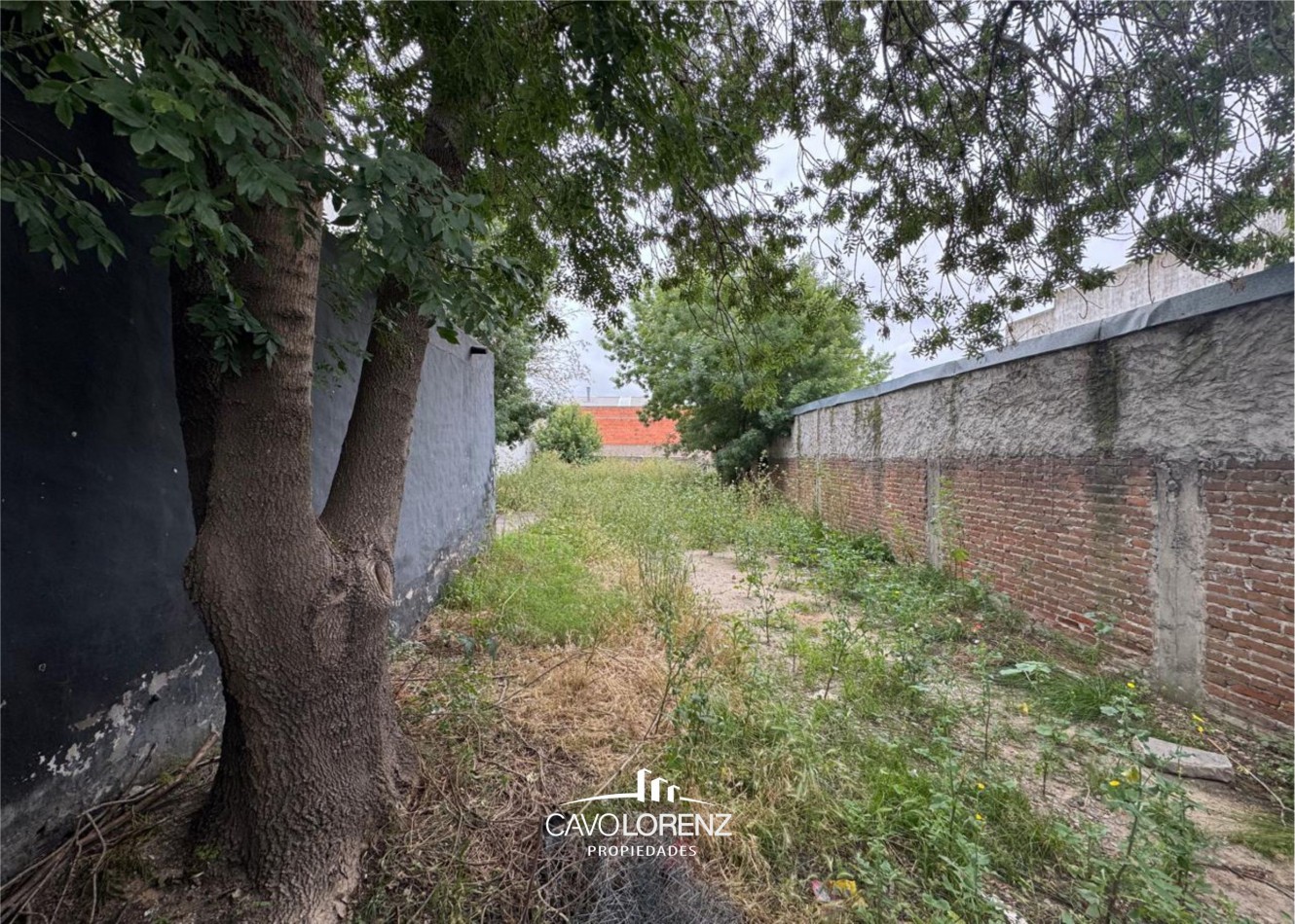 Juan B.Justo 1164 - Lote con local en inmejorable zona comercial